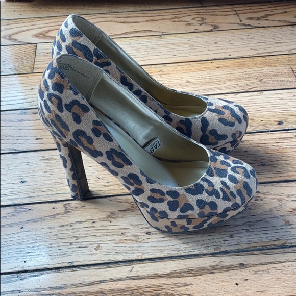 Cheetah - Picture 2 of 2